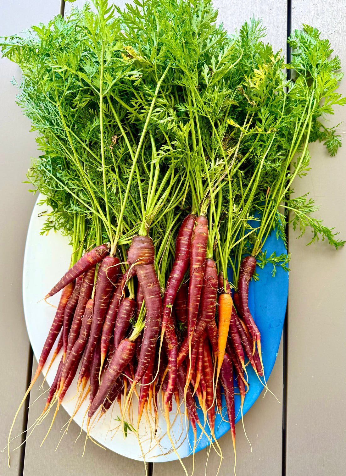 Garlic & Thyme Roasted Carrots w/ Asteri EVOO