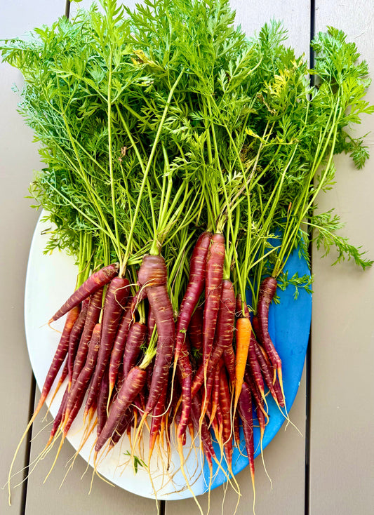 Garlic & Thyme Roasted Carrots w/ Asteri EVOO