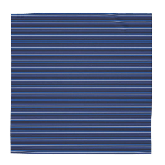 Asteri Deep Blue Stripe Silk Scarf & Shawl