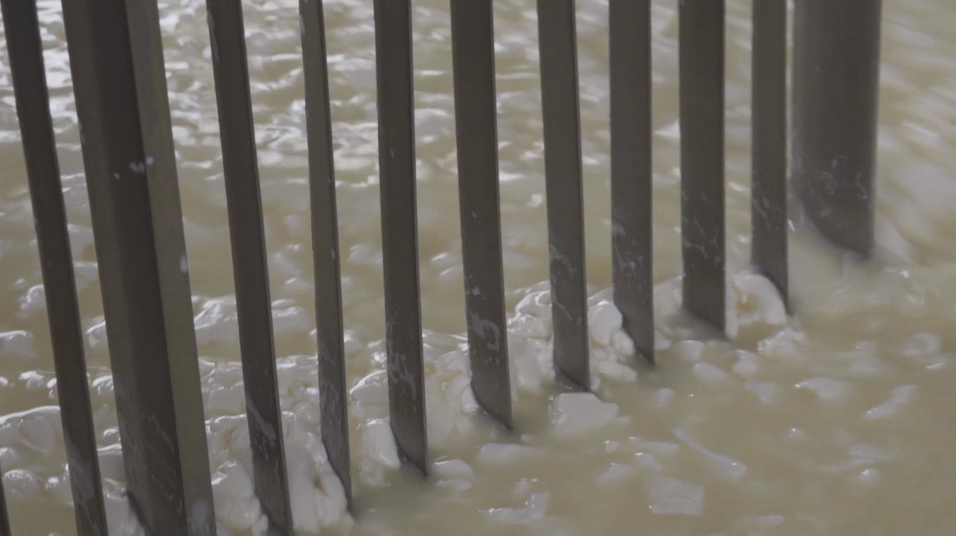 Genuine Fulvi® Pecorino Romano DOP - Lazio, Italy