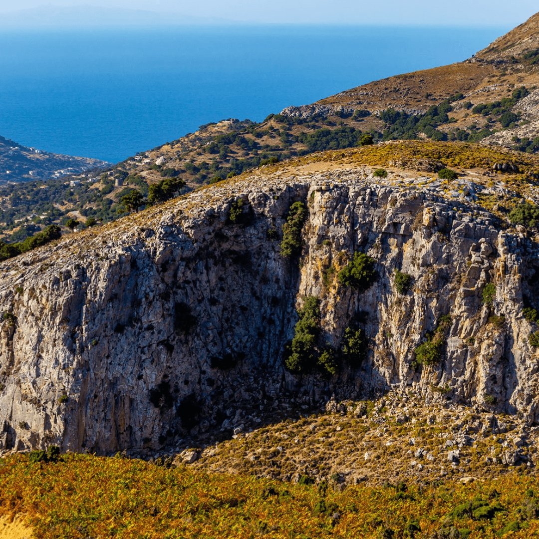 Greek Oregano (Ikaria Blue Zone) - Greek Superherbs