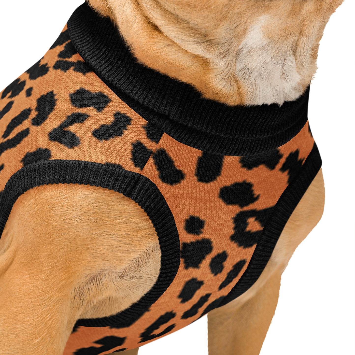 Knitted Pet and Dog Leopard Print Sweater