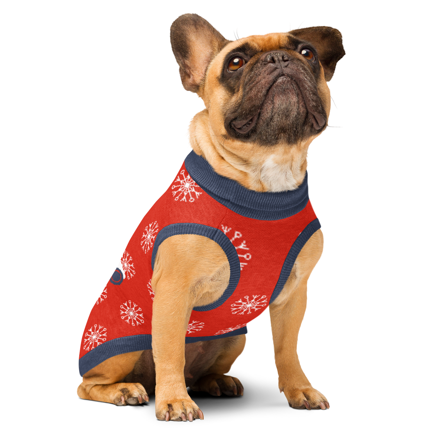 Knitted Pet and Dog Holiday Christmas Sweater