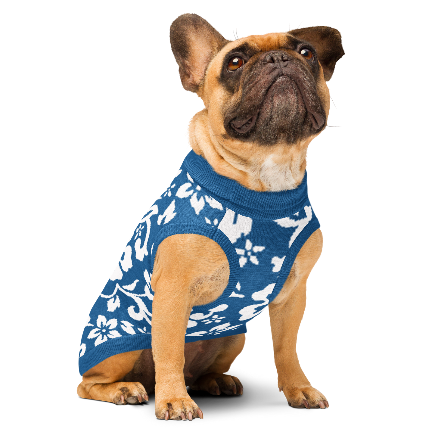 Knitted pet sweater - Blue White Hawaiian Tropic